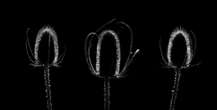 Florian_caseau_Photographe_creativite-photo_minimalisme
